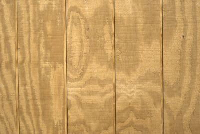 Plywood Siding Installation - Wood Siding Marshfield, Wisconsin